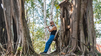 Trunk forms of the Chinese Banyan Trees (<i>Ficus macrocarpa</i>) with their buttress roots and aggressive overlapping surface roots create a unique space for many different activities.